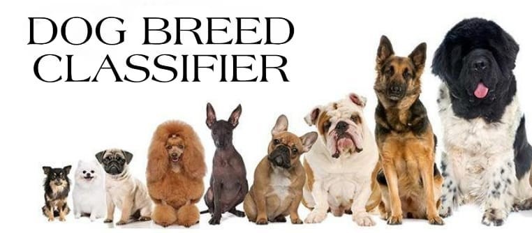 Dog Breed Classifier